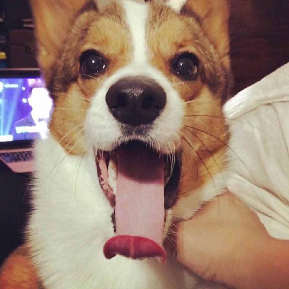 Meet your Posher, Ruijia